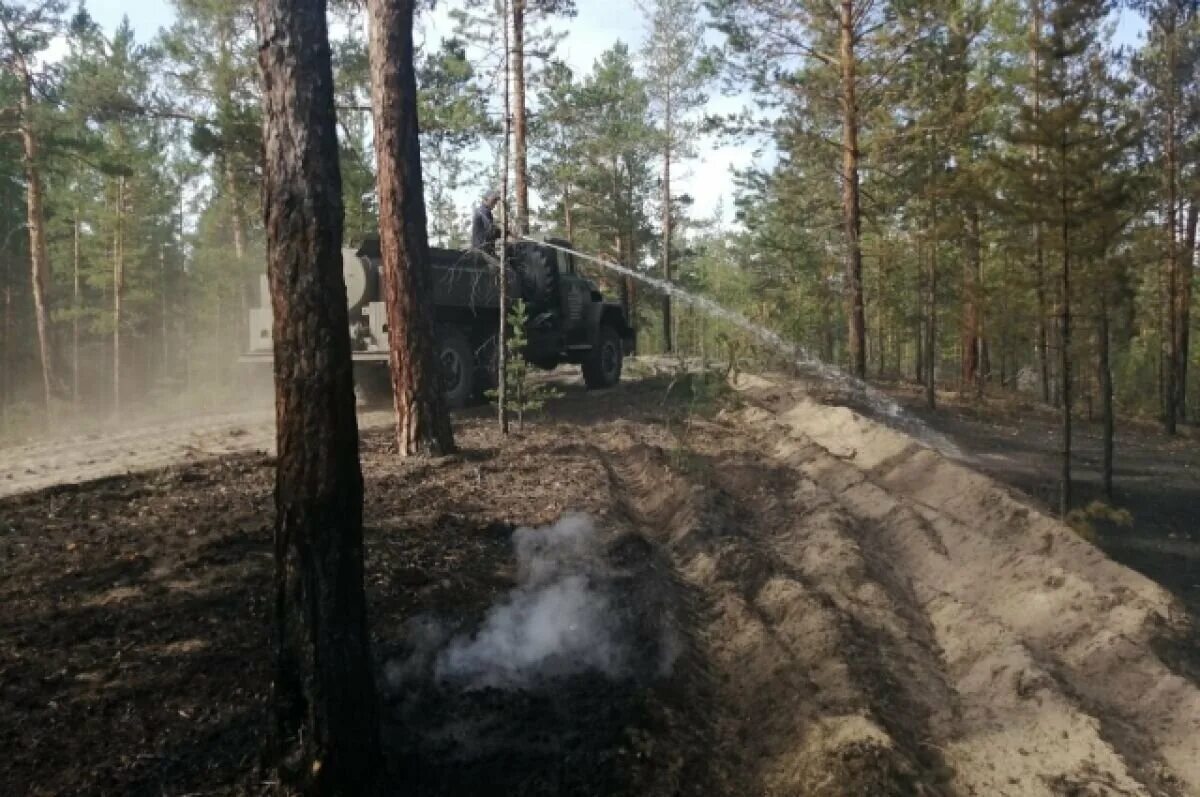 Пожар в озерах. Пожар в Угловском районе Алтайского края. Лесной пожар в Угловском районе Алтайского края. Лесные пожары. Леса Подмосковья.