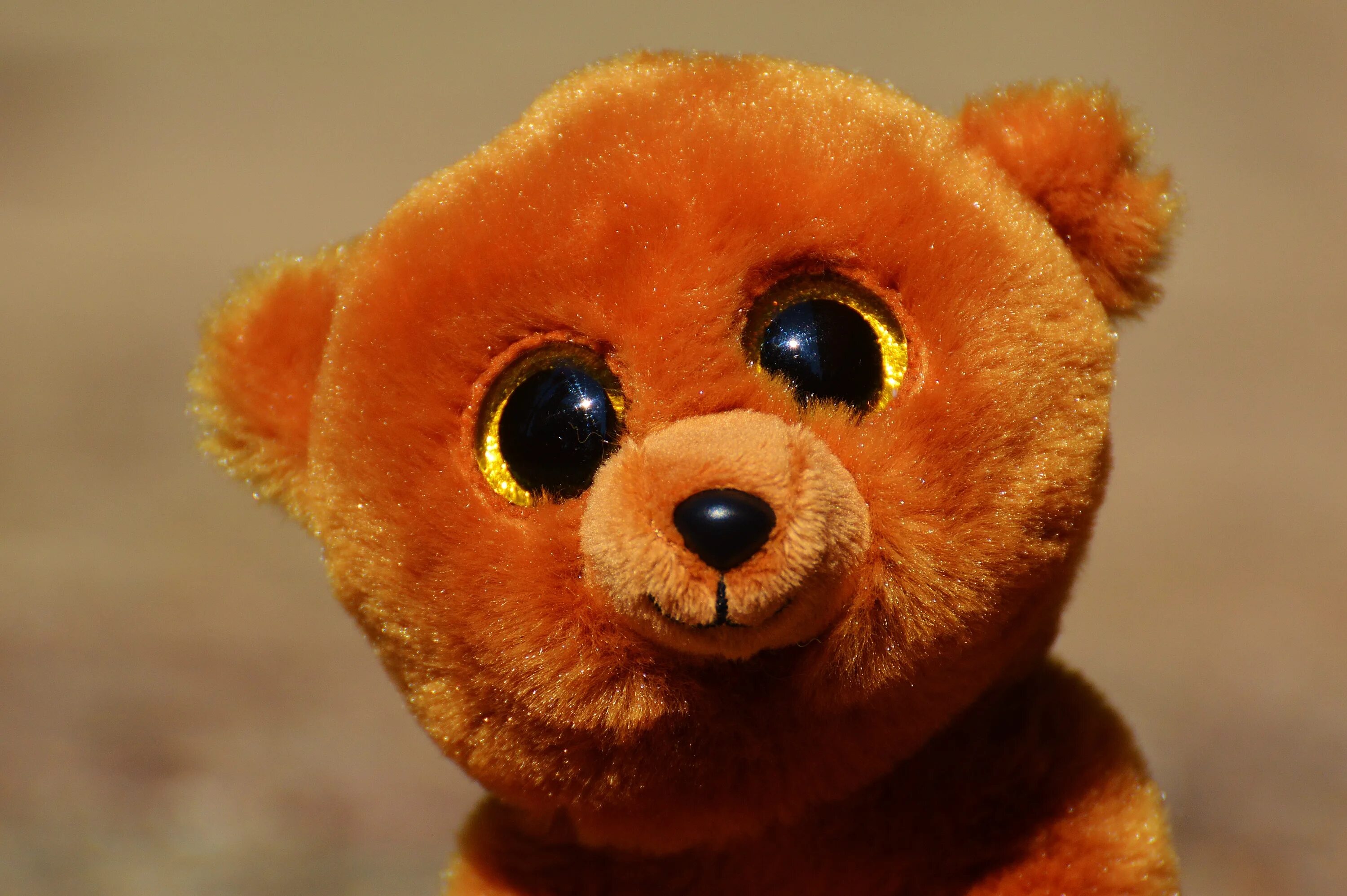 Плюшевые игрушки с большими глазами. Мишка с милыми глазками. Медведь с большими глазами. Глазки игрушечных медведей.