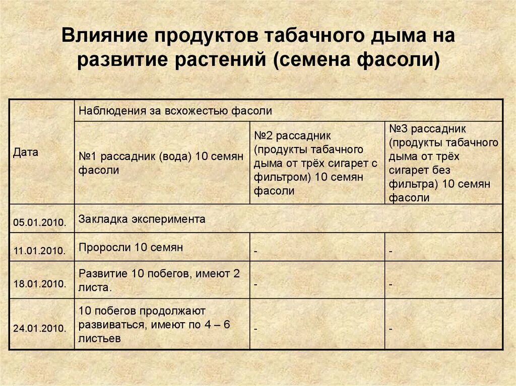 Наблюдение за ростом и развитием фасоли. Наблюдение за прорастанием семян фасоли. Таблица наблюдения за прорастанием семян. Наблюдение за семенами фасоли. Таблица наблюдений за прорастанием семян фасоли.