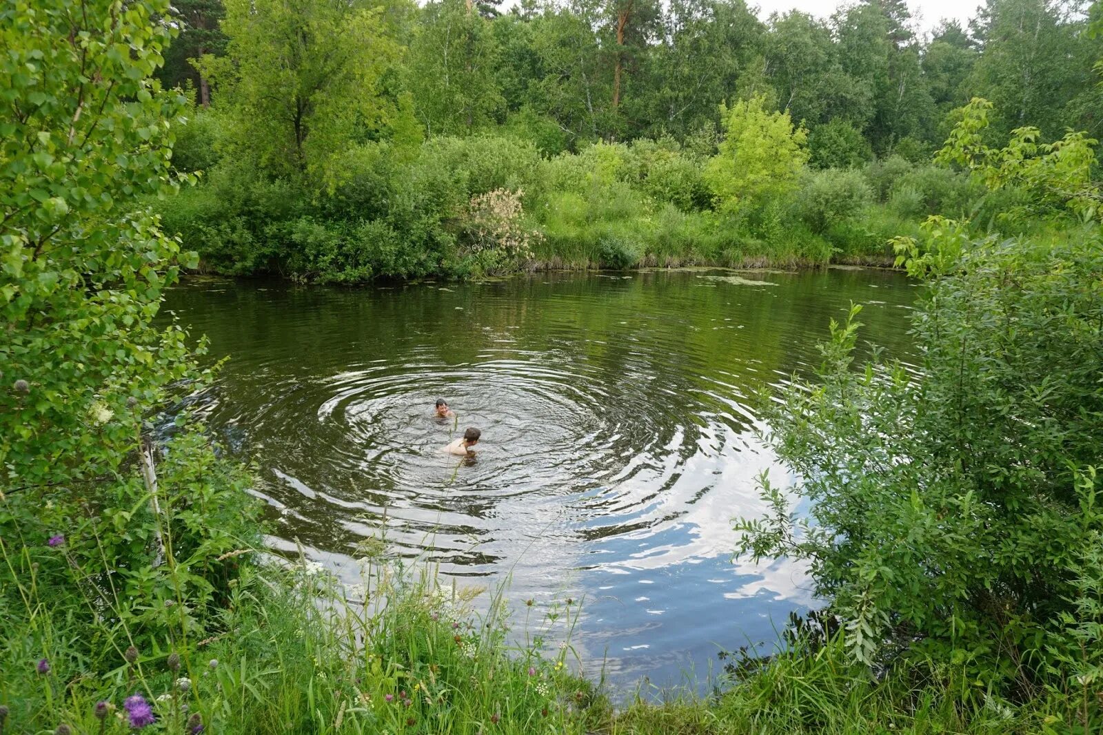 Иванков киевская область. Село солонцы херсонская область. Тузлы николаевская область. Озеро мостки туман. Подмосток у реки.