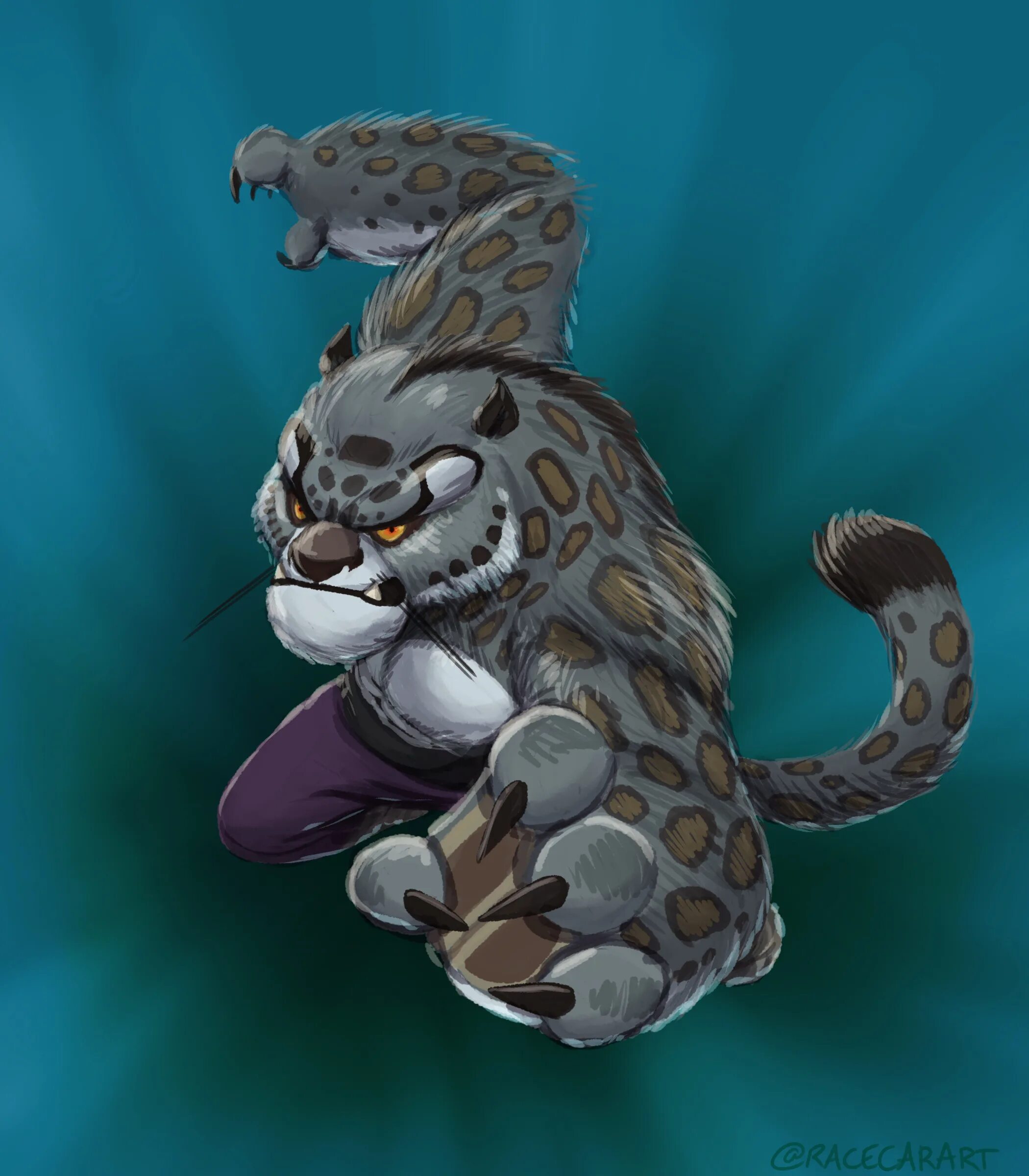 Tai lung kung fu