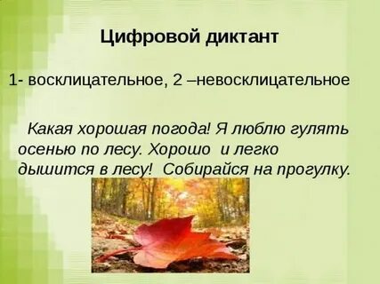 Кленовый листок восклицательное