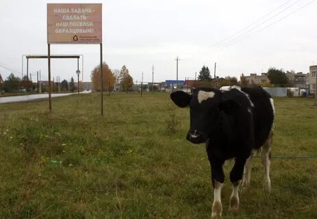 Арзамас бебяево