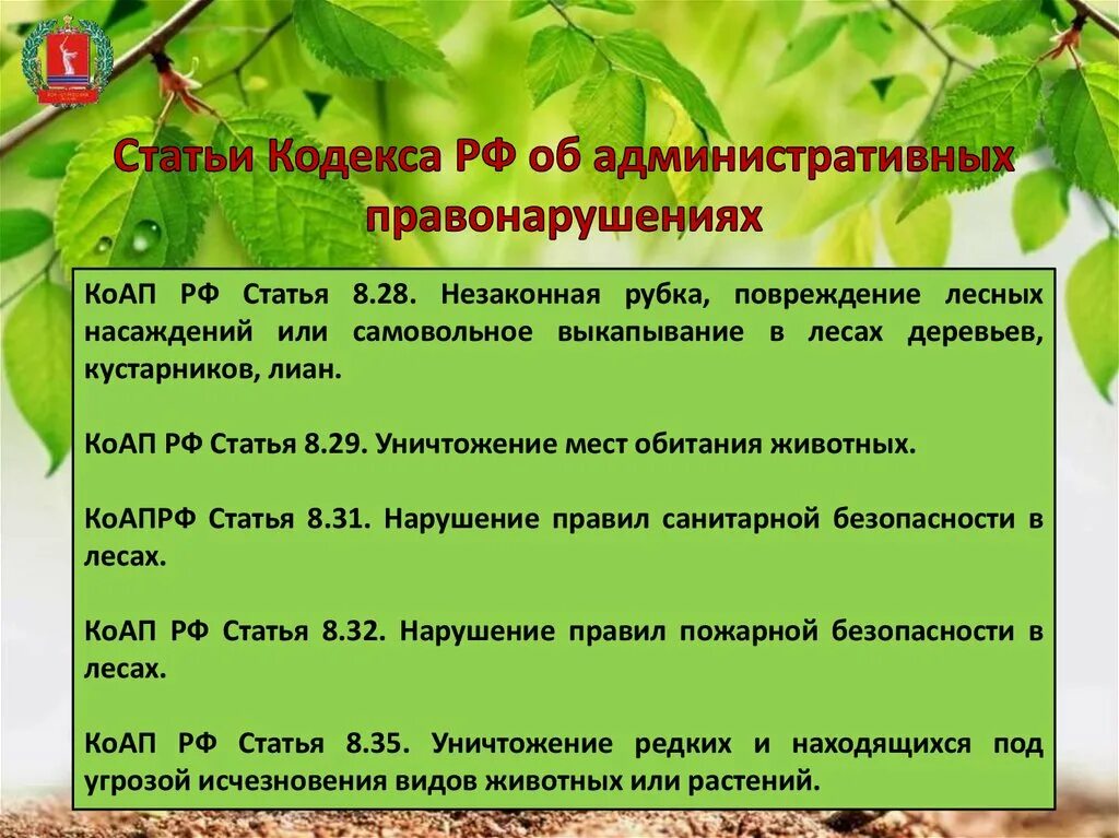 Лес гражданину рф. Статья за вырубку дерево. Наказание за вырубку лесов. Ответственность за незаконную вырубку деревьев. Ответственность за незаконную рубку лесных насаждений.