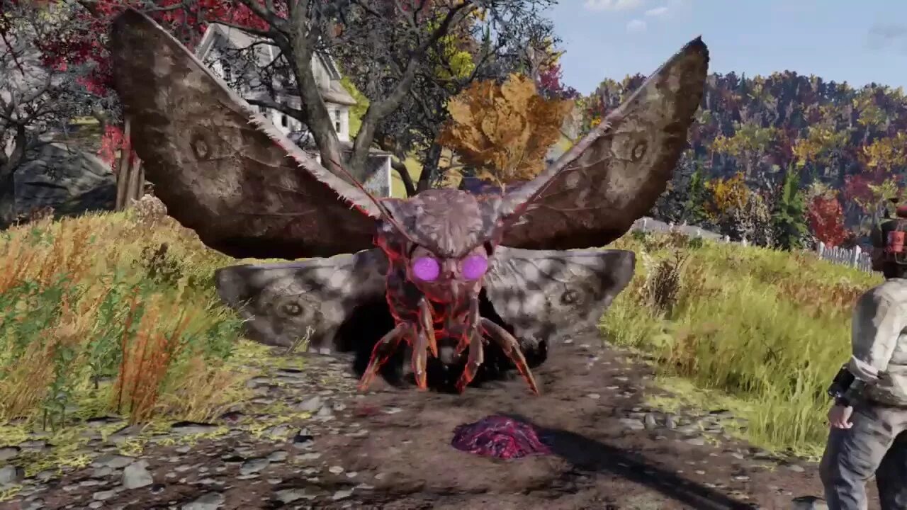 Молерот fallout 76. Мудрый молерот fallout 76. Mothman fallout 76. Мофман фоллаут 76. Молерот fallout 76.