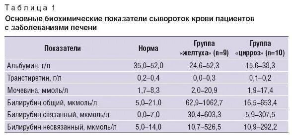 Направление на биохимическое исследование крови. Общий анализ крови у собак. Печёночный анализ крови норма. Биохимия печени анализ. Печеночные показатели биохимического анализа крови какие показатели.