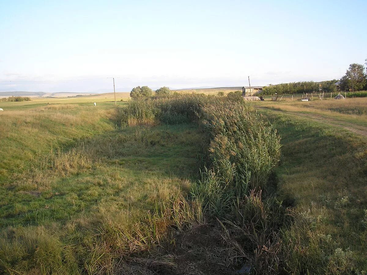 Село камышинка