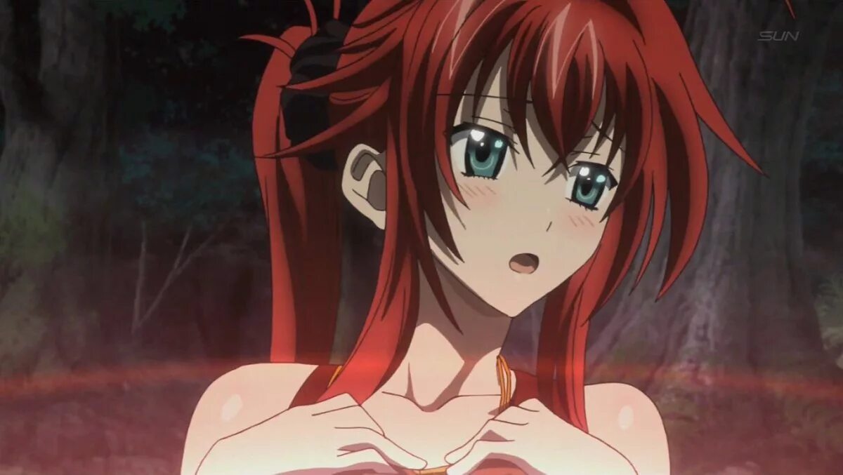 Rias Gremory. DXD Риас. Школа демонов моменты