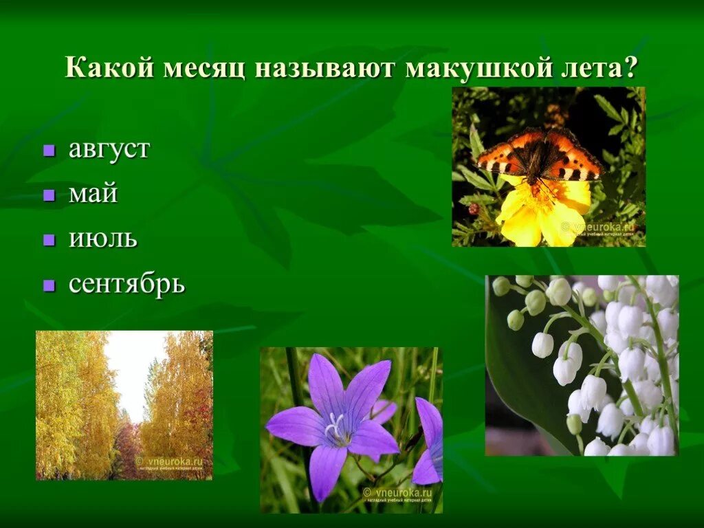 Что в тексте называют макушкой планеты