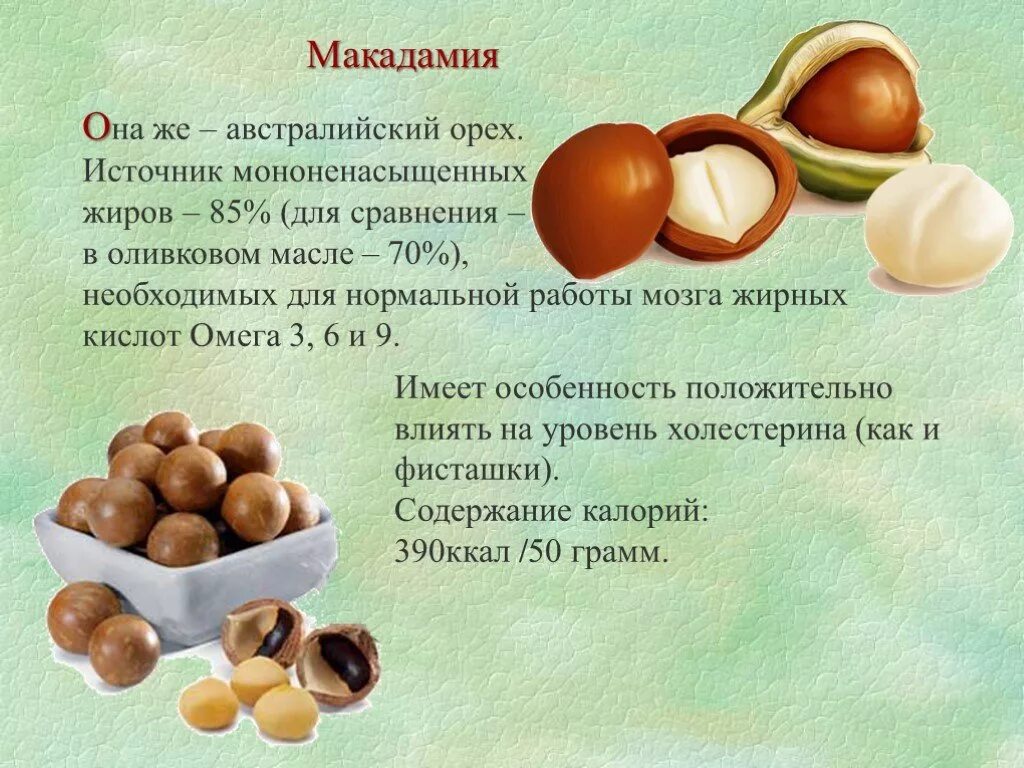 Макадамия противопоказания для мужчин