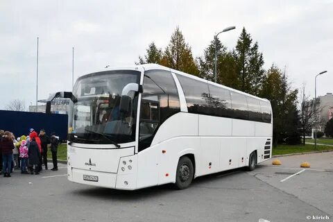 251 автобус спб