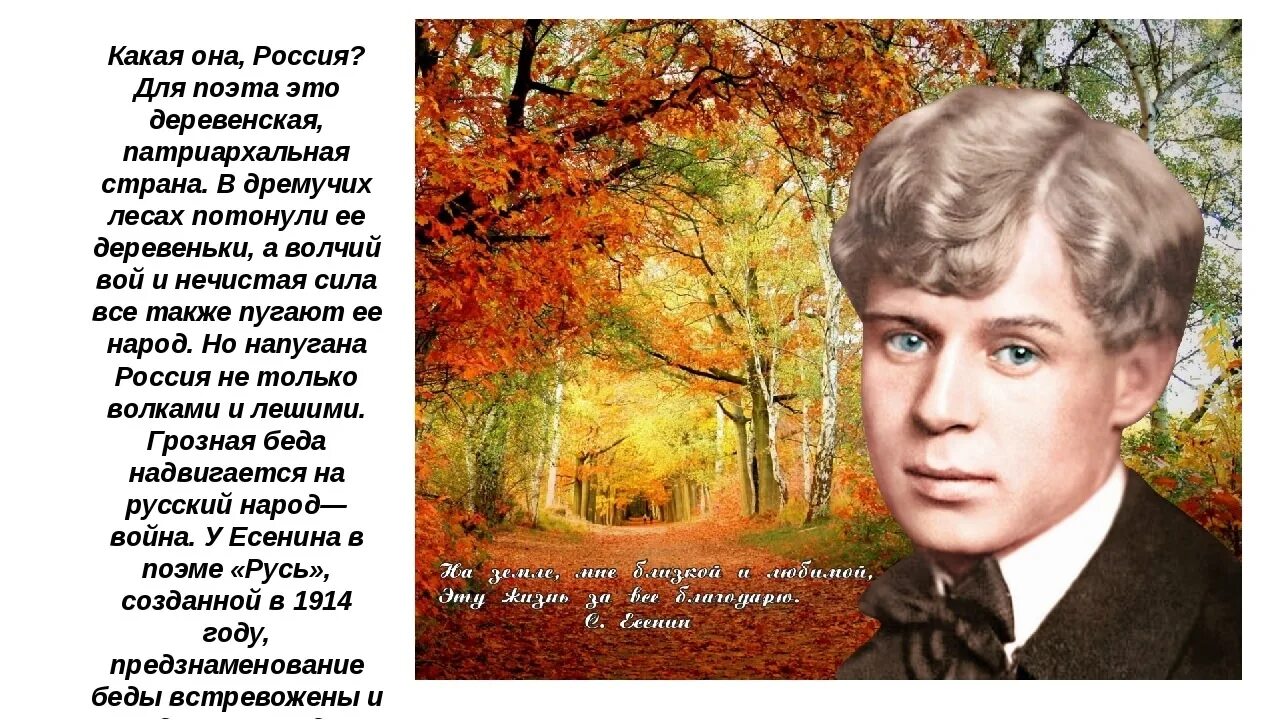 Портрет Сергея Александровича Есенина. Есенинская поэзия