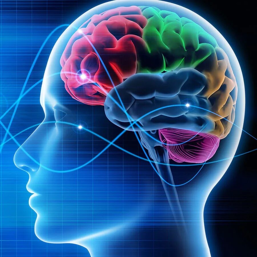 Музыка для памяти мозга слушать. Мозг память. Нейропсихология памяти. Мозг удовольствие.