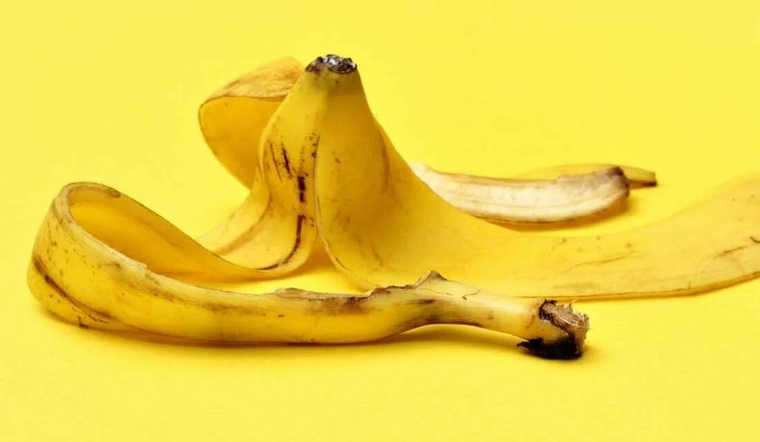 Ел кожуру бананов. Шкура банана. Шкурка от банана. Банановая кожура. Кожура от банана.
