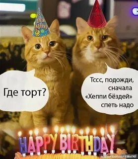 Подожди сначала
