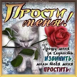 Попросить прощения прикол