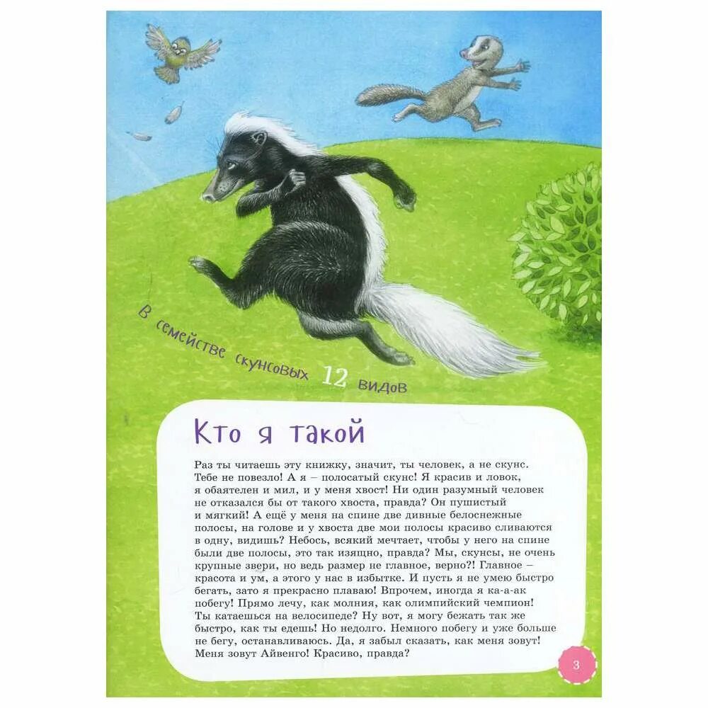 Книга скунс семенова. Книги про скунсов. книжка про скунса.