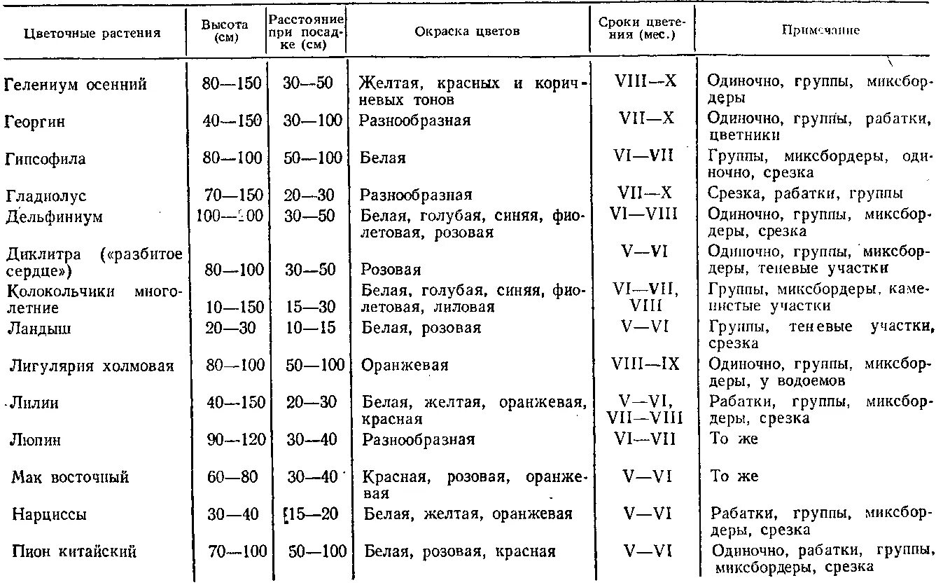 На каком расстоянии сажать цветы. Норма посадки роз на 1 м2. Норма посадки однолетних цветов на 1 м2. Норма посадки кустарников на 1 м2. Расстояние при посадке.