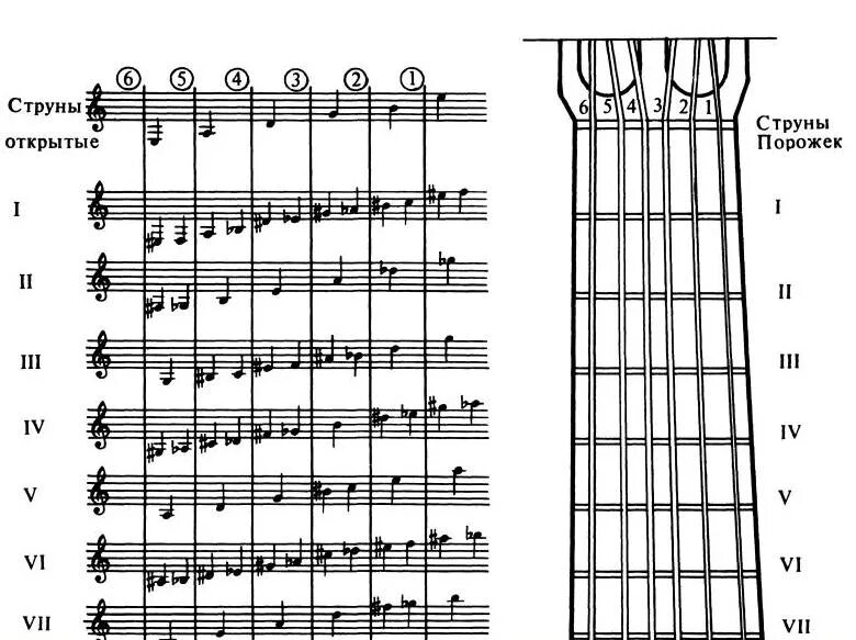 Гитара 6 струнная уроки начинающим. Самоучитель игры на гитаре 6 струнной с нуля. Самоучитель игры на гитаре 6 струнной для начинающих. Самоучитель на гитаре 6 струнной для начинающих с нуля. Гитара для новичка уроки.