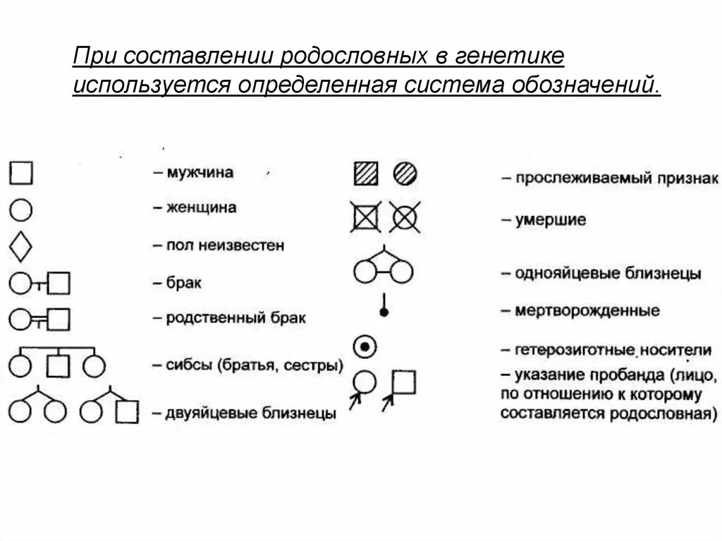 Условные обозначения в генеалогическом древе