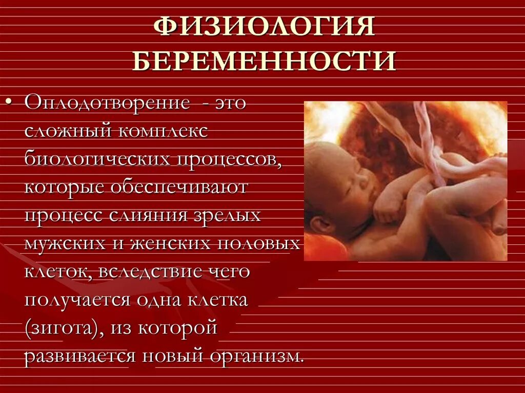 Физиологические изменения беременной. Физиология беременности. Тема для презентации беременность.