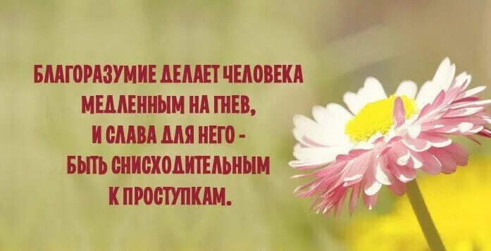 Афоризм про благоразумие. Благоразумие рисунок. Что такое благородие кратко. Благоразумие цитаты. Высказывания о благоразумии.
