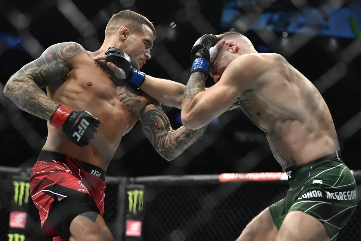 Ufc 44