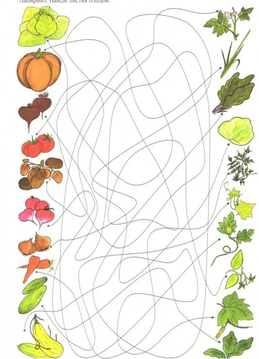 Игра найди овощи. Фрукты графомоторика для малышей. Графомоторика овощи для детей 3-4 лет. Задания на тему овощи для дошкольников. Графомоторные дорожки ягоды.