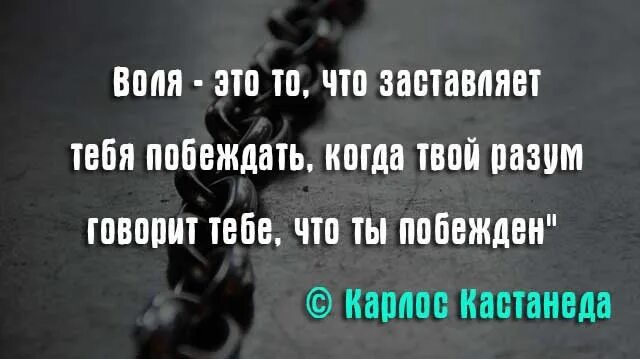 Сила высказывания великих людей. Фразы про силу воли. Сила афоризмы. Цитаты про силу духа. Высказывания о силе воли.