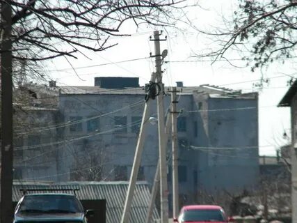 Цоф донецк ростовская область