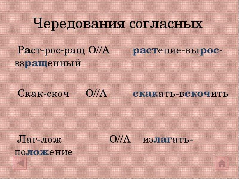 Раст/рос/ращ, скак/скоч. Лаг лож раст ращ рос. А-О В корнях лаг лож раст рос.