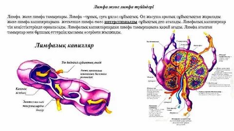 Реалити-шоулардағы секс көріністері