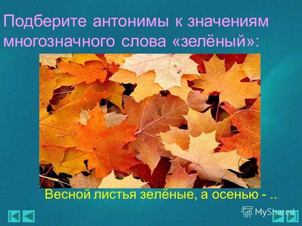 Подбери осенние слово. Антонимы на тему осень. Антонимы к слову лист. Антонимы к слову осень.