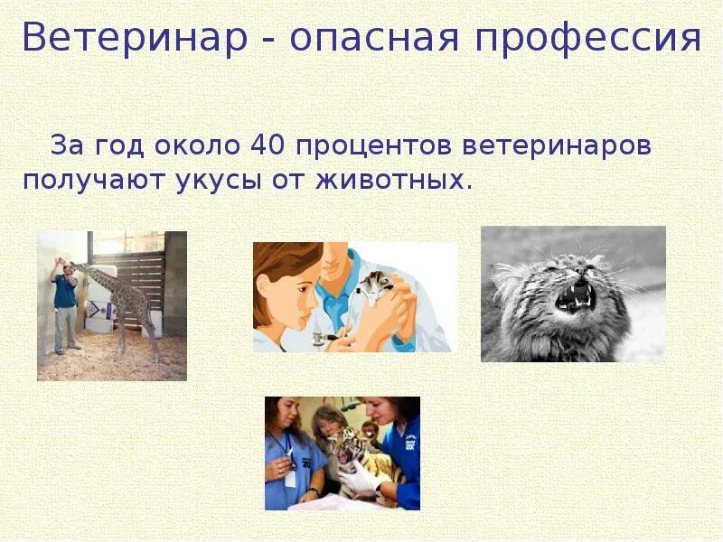 Сообщение о профессии ветеринар для 5 класса. Профессия ветеринар описание. профессия ветеринар презентация. ветеринар опасная профессия. ветеринар презентация для детей.