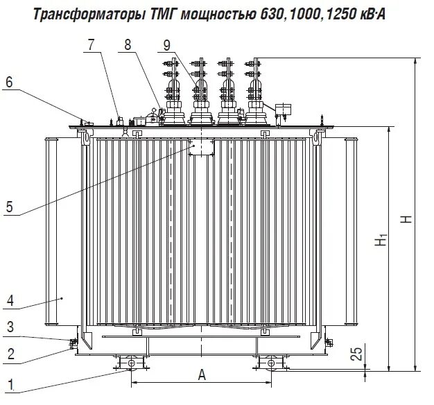 Силовой трансформатор ТМГ 1000 схема. Трансформатор ТМГ 1250 габариты. Схема трансформатор масляный ТМ 1000 КВА. Трансформатор силовой трехфазный двухобмоточный.