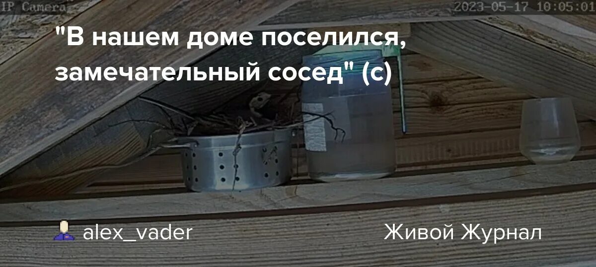 В нашем доме поселился слушать. В нашем доме поселился замечательный сосед. В нашем доме мыши поселились. В нашем доме заселился замечательный сосед. Поселился над домиком.