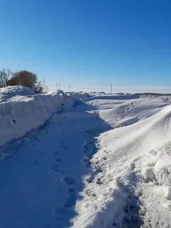 Омская область зимой