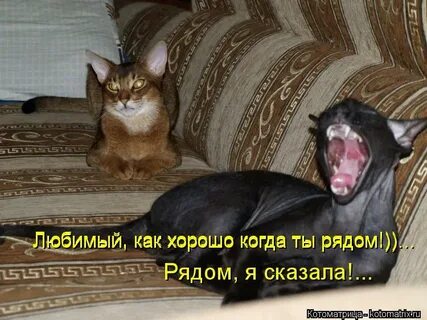 Все будет хорошо когда ты рядом