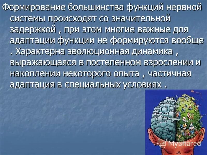 для эволюции характерно