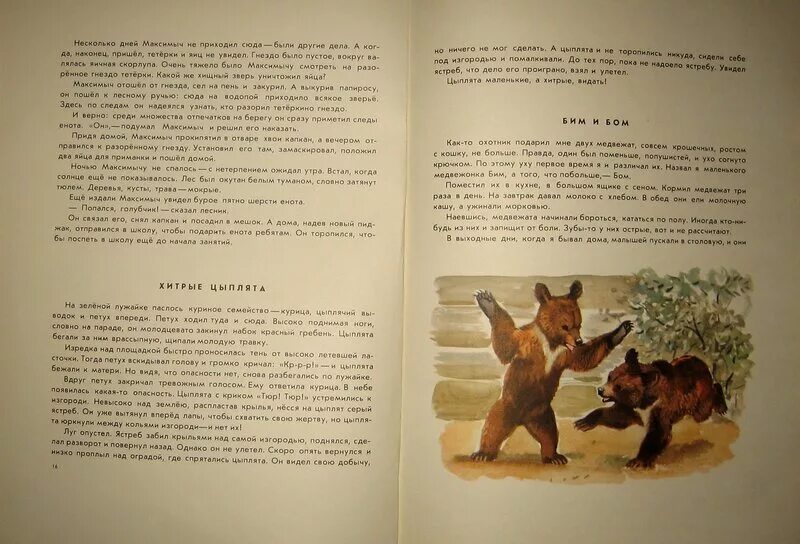 Охота жить рассказ. Маленький рассказ охота. Вопросы по рассказу охота жить. Охотник рассказ 1 класс для детей. План рассказа охота жить.