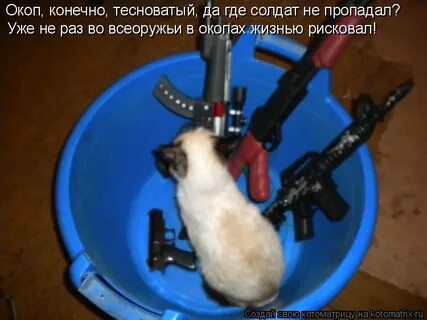 Вася знает четыре