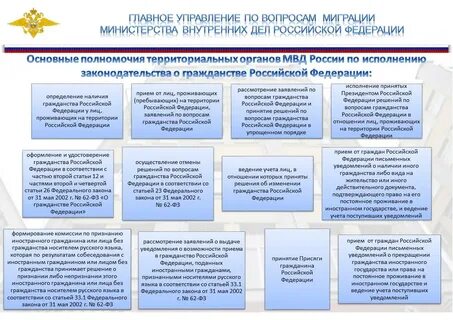 Органы занимающиеся вопросами гражданства