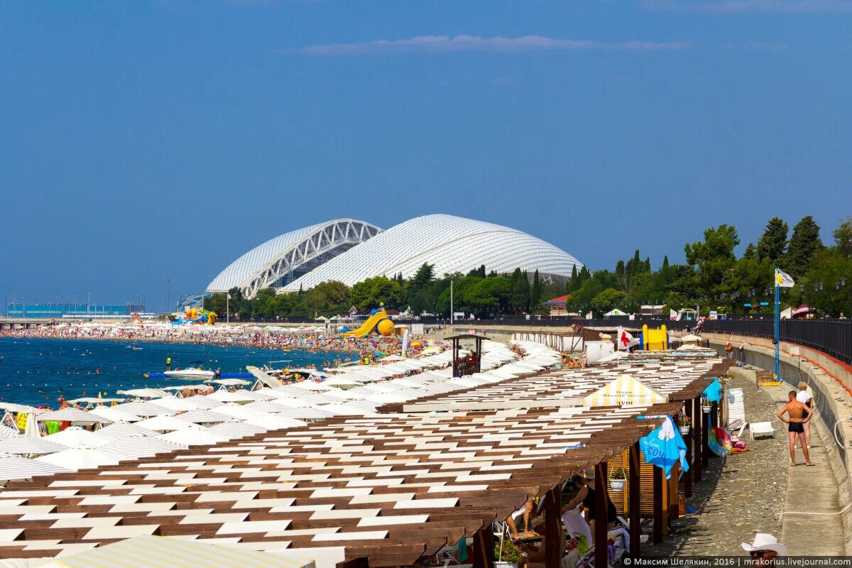 Можно в сочи в июне. Олимпийский парк Сочи пляж. Пляж Олимпик Бич Адлер. Адлер пляж Олимпийский парк. Фишт+пляж Адлера.