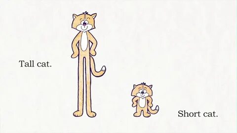 Tall cat