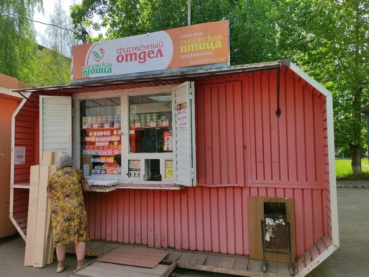 Свиристель птенец. Ижевск фламинго зоопарк. Bird ижевск. Свиристель птенец. Птицы ижевска фото.