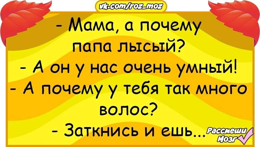 Зачем папе мама. Мама а почему папа лысый. Анекдот мама а почему папа лысый. Шутки мама почему папа лысый. Почему папа лысый анекдот.