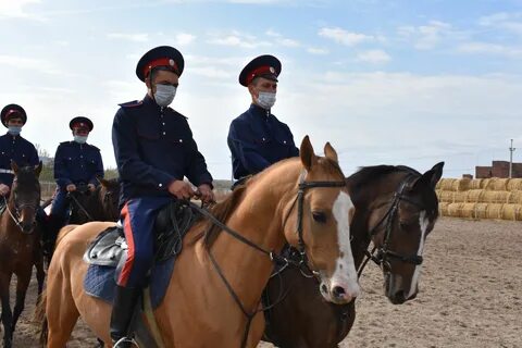 Велико донская