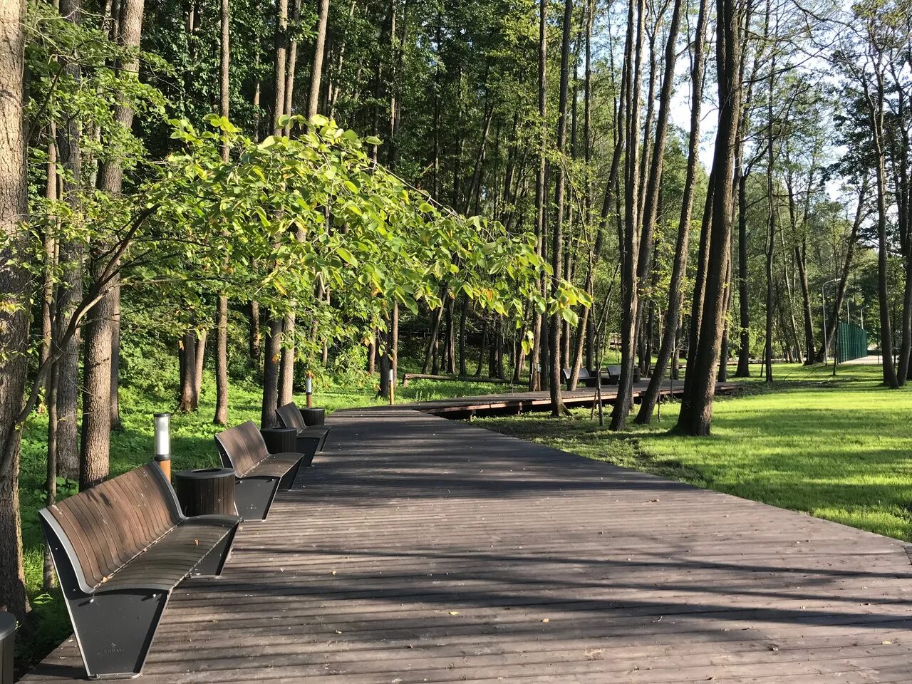 Красногорск парк купить. Красногорск парк. Городской парк Красногорск. Лесопарк Красногорск. Сквер в Красногорске.