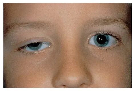 Байларға арналған порно клубтар