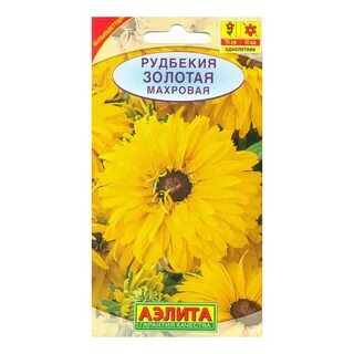 Золотые шары рудбекия семена
